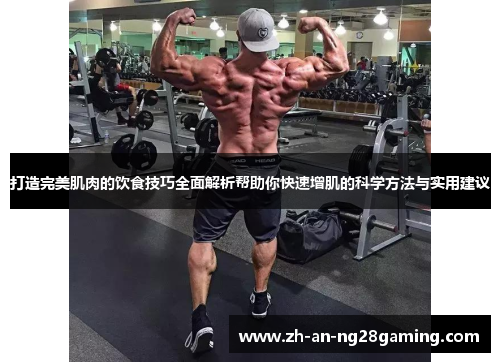 打造完美肌肉的饮食技巧全面解析帮助你快速增肌的科学方法与实用建议