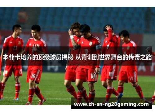 本菲卡培养的顶级球员揭秘 从青训到世界舞台的传奇之路