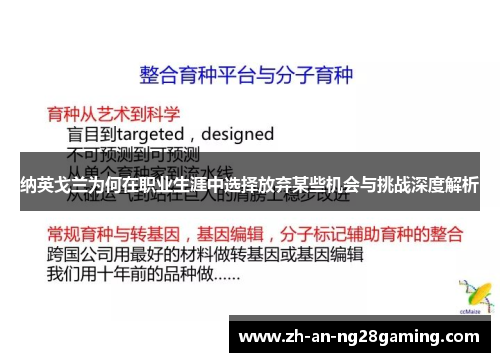 纳英戈兰为何在职业生涯中选择放弃某些机会与挑战深度解析 纳英戈兰为何在职业生涯中选择放弃某些机会与挑战深度解析