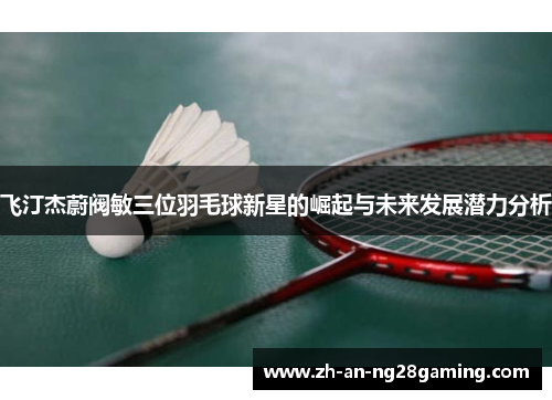 飞汀杰蔚阀敏三位羽毛球新星的崛起与未来发展潜力分析 飞汀杰蔚阀敏三位羽毛球新星的崛起与未来发展潜力分析