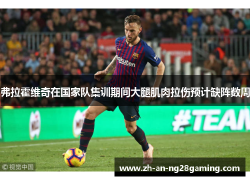 弗拉霍维奇在国家队集训期间大腿肌肉拉伤预计缺阵数周 弗拉霍维奇在国家队集训期间大腿肌肉拉伤预计缺阵数周