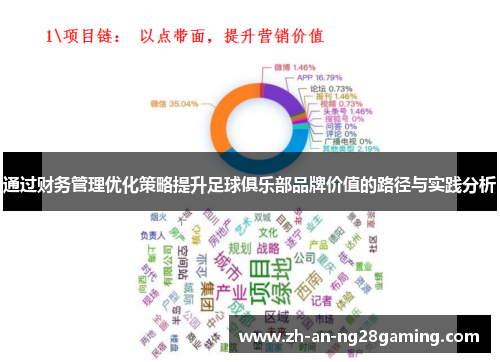 通过财务管理优化策略提升足球俱乐部品牌价值的路径与实践分析 通过财务管理优化策略提升足球俱乐部品牌价值的路径与实践分析